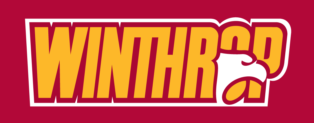 Winthrop Eagles 1995-Pres Wordmark Logo v4 diy fabric transfer